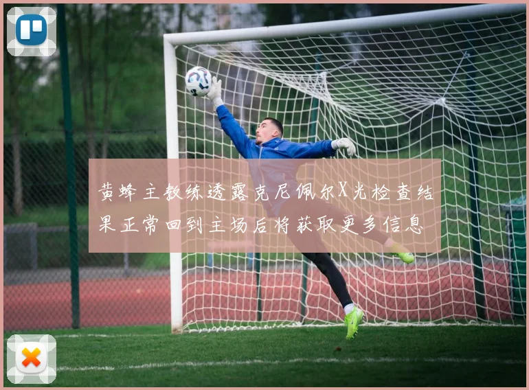 黄蜂主教练透露克尼佩尔X光检查结果正常回到主场后将获取更多信息