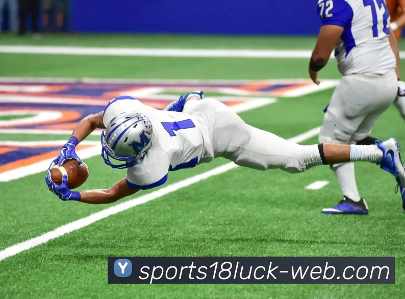 App Interface Preview